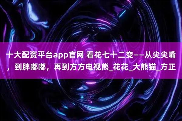 十大配资平台app官网 看花七十二变——从尖尖嘴，到胖嘟嘟，再到方方电视熊_花花_大熊猫_方正