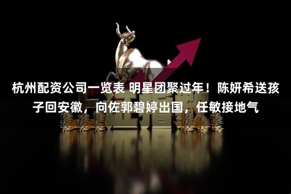 杭州配资公司一览表 明星团聚过年！陈妍希送孩子回安徽，向佐郭碧婷出国，任敏接地气