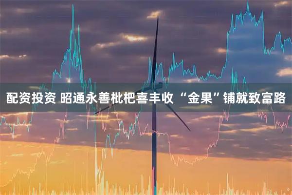 配资投资 昭通永善枇杷喜丰收 “金果”铺就致富路